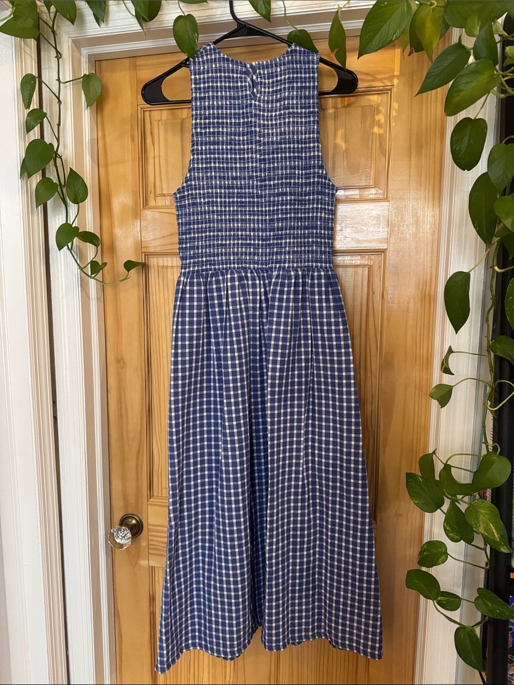 Wray Sleeveless Blue Gingham Dress - Picture 5 of 6
